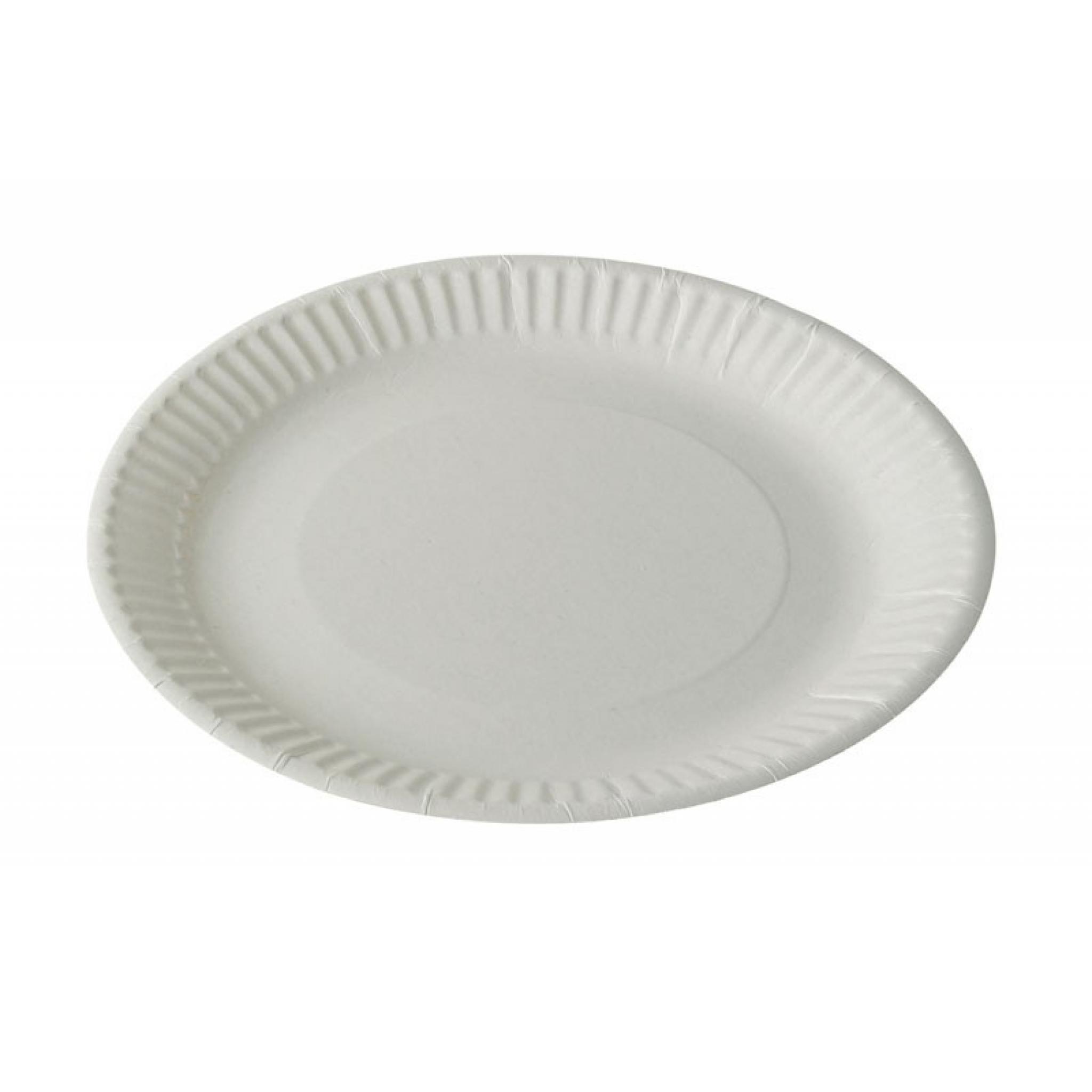 paper plates with lids