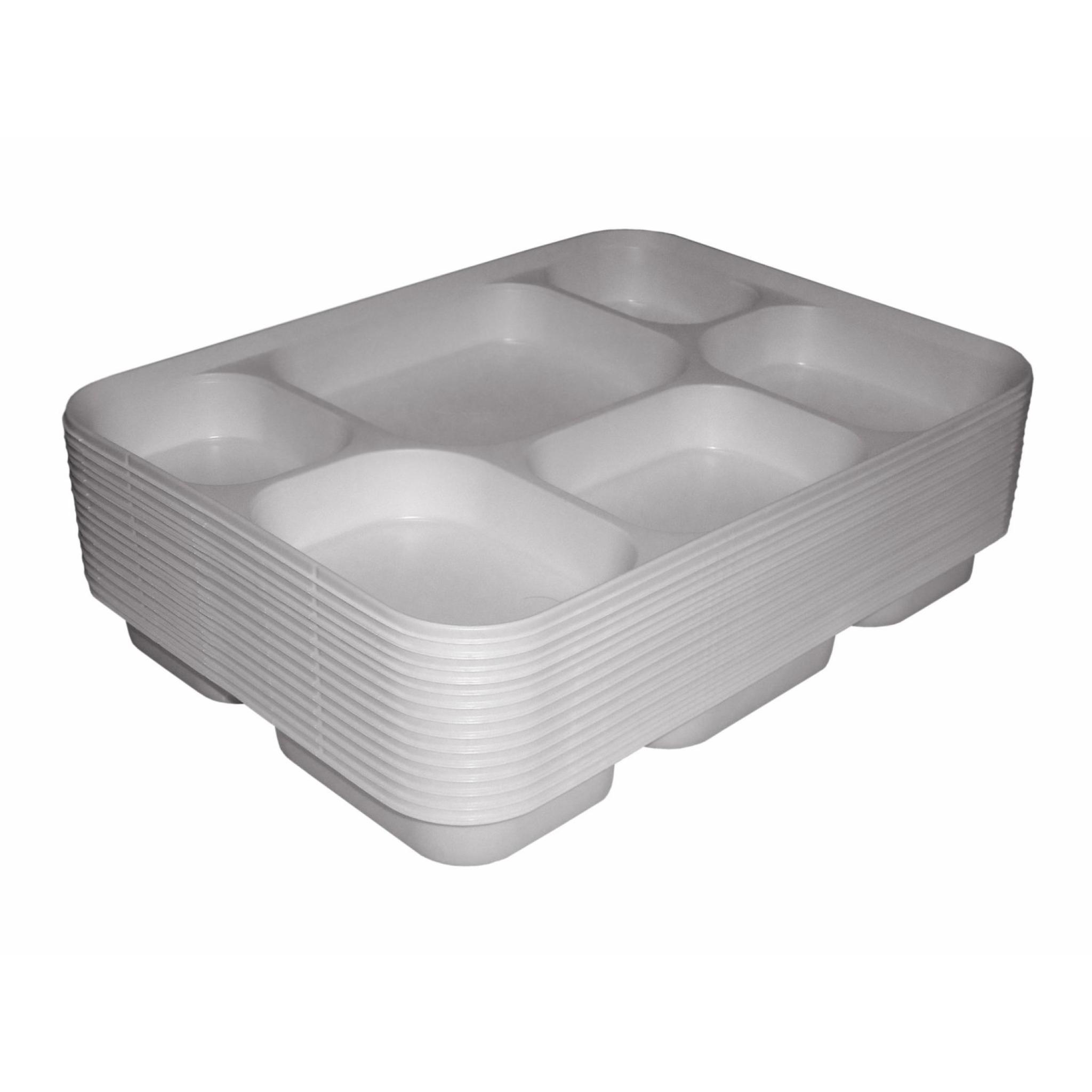 disposable paper plates with sections