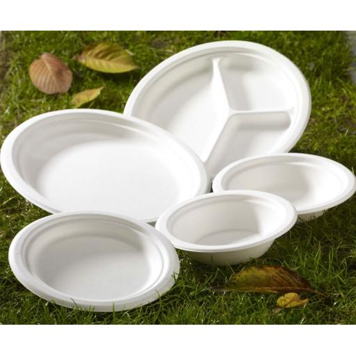 Paper Plates Bagasse Compostable