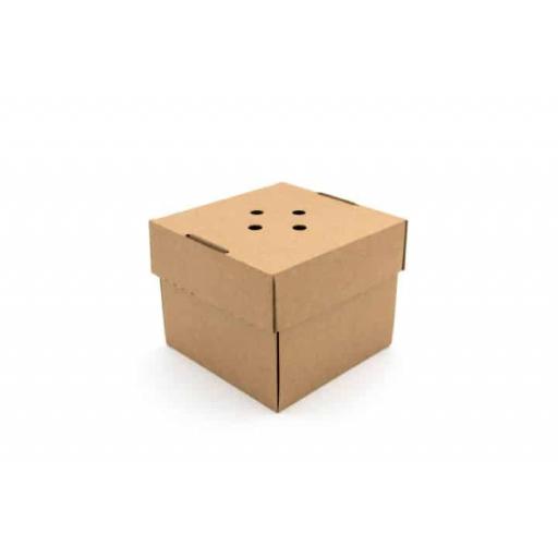 Containers - Gourmet Burger Boxes - Standard 2.jpg