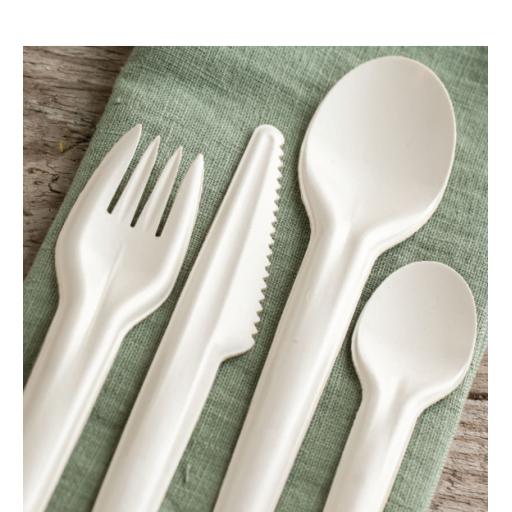 Paper - Sabert Recyclable Cutlery