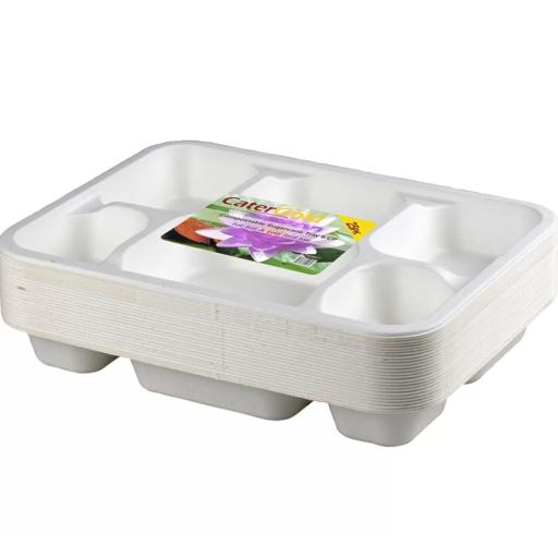 Thali Food Trays 6 Compartment Punjabi White Bagasse 12" x 9"  - Dinner Plates For Indian Events